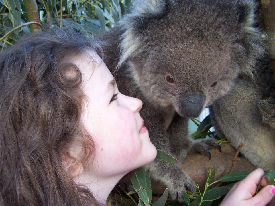 Fauna Australia Wildlife Retreat Lavers Hill Eksteriør billede