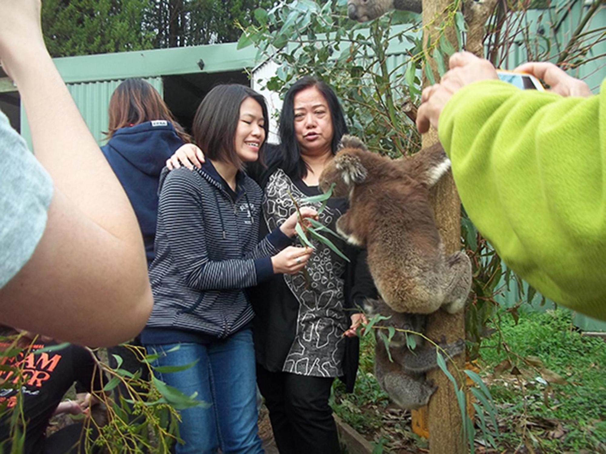 Fauna Australia Wildlife Retreat Lavers Hill Eksteriør billede