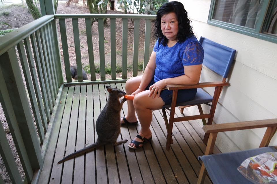 Fauna Australia Wildlife Retreat Lavers Hill Eksteriør billede
