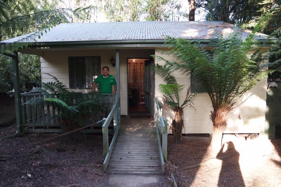 Fauna Australia Wildlife Retreat Lavers Hill Eksteriør billede