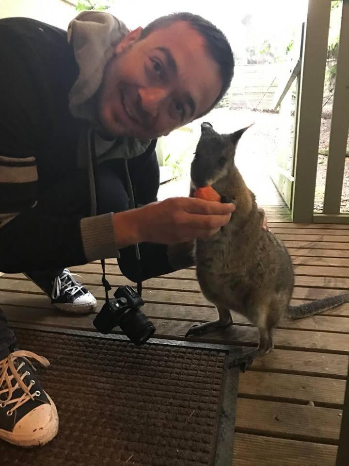 Fauna Australia Wildlife Retreat Lavers Hill Eksteriør billede